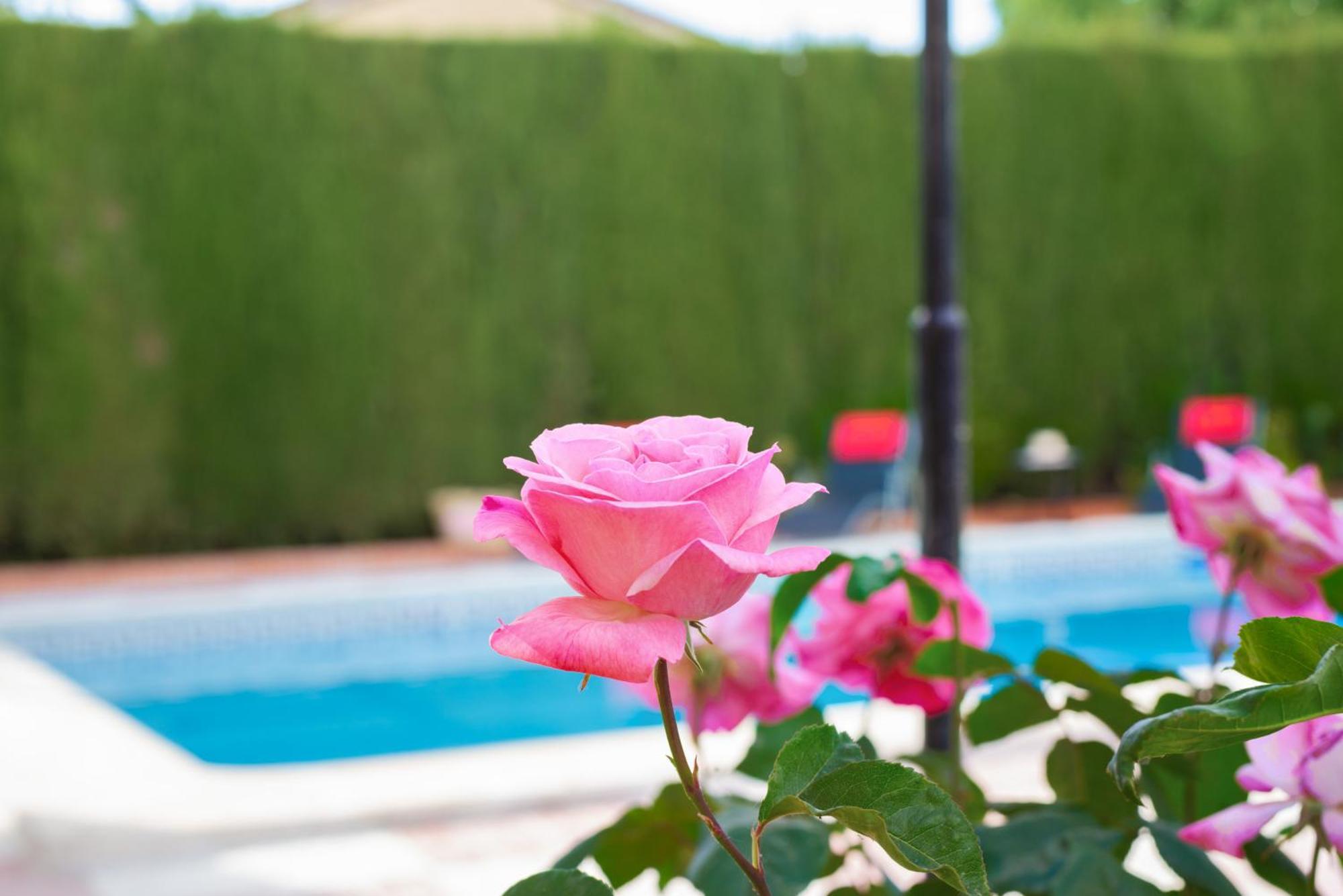 מונאצ'יל Villa Granada Garden Deluxe מראה חיצוני תמונה
